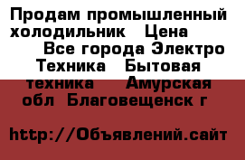 Продам промышленный холодильник › Цена ­ 40 000 - Все города Электро-Техника » Бытовая техника   . Амурская обл.,Благовещенск г.